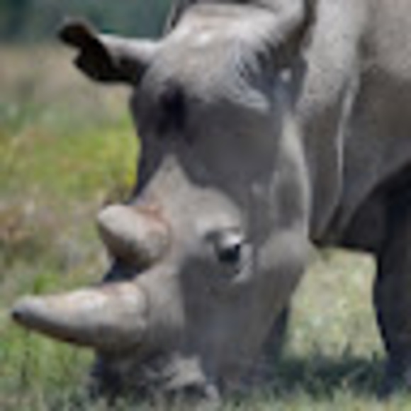 Meet your Posher, Brooke - Picture 1 of 1